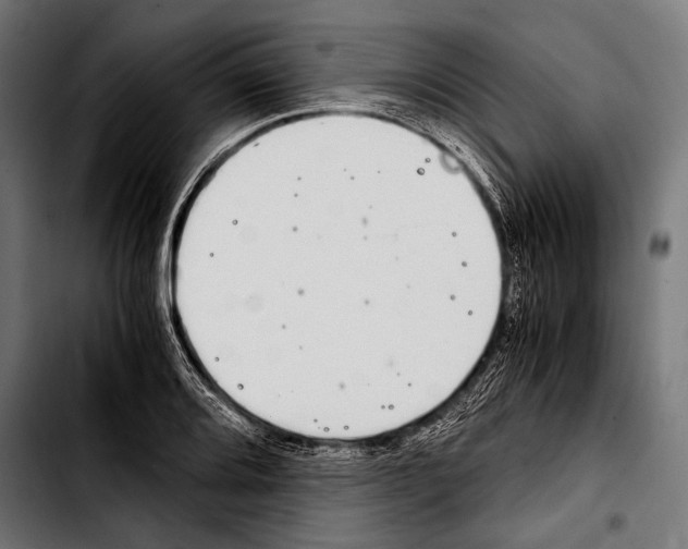 X0000103331080200810171419