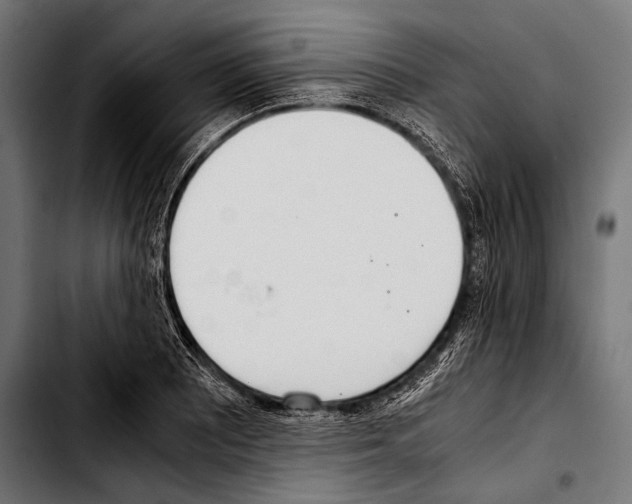 X0000103331081200810171419