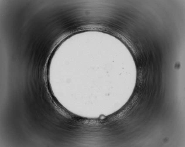 X0000103331082200810171418