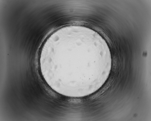 X0000103331083200810171418