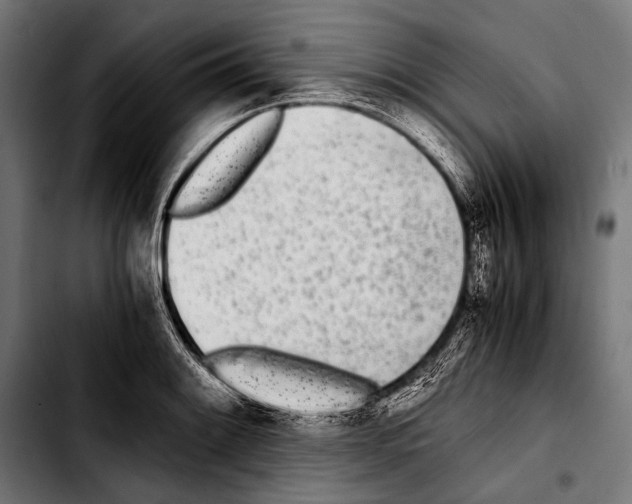 X0000103331084200810171418