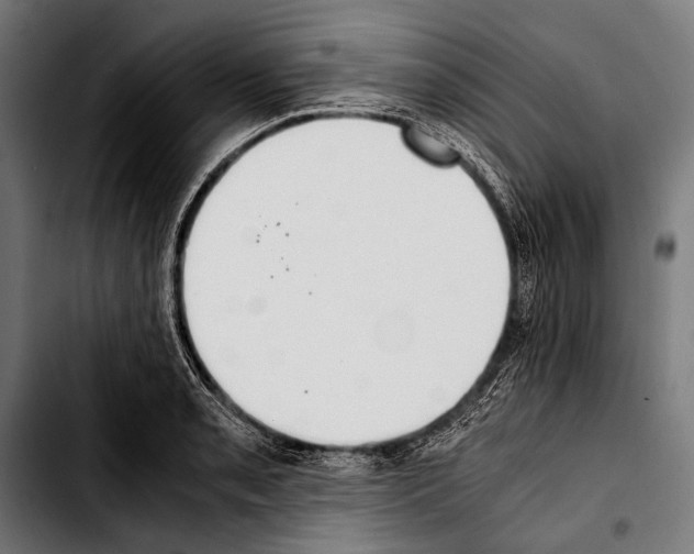 X0000103331085200810171418