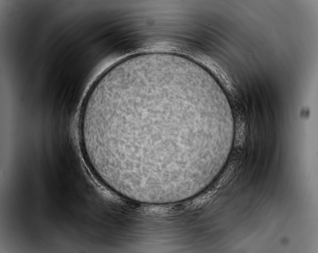 X0000103331086200810171418