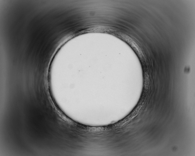 X0000103331087200810171418