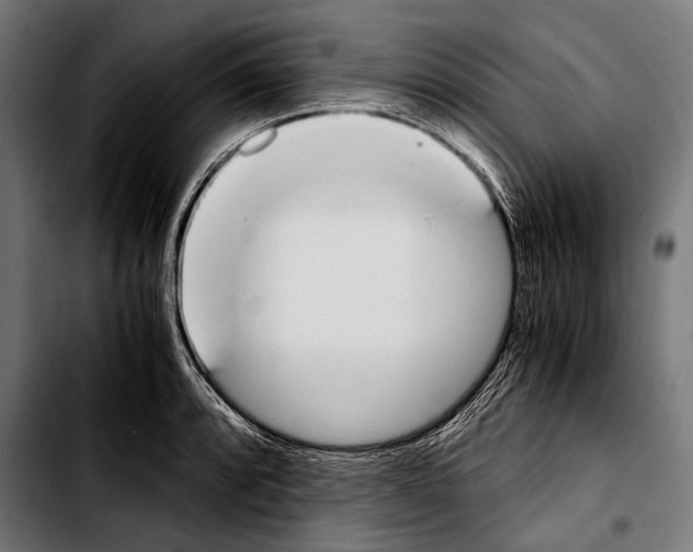 X0000103331088200810171418