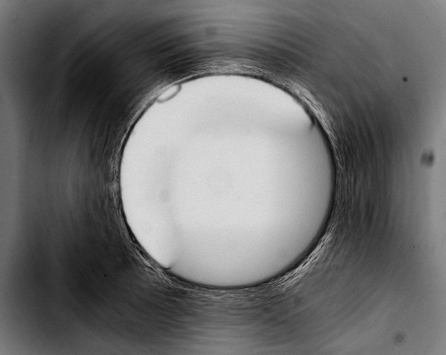 X0000103331089200810171418