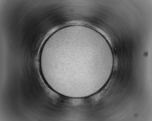 X0000103331090200810171418