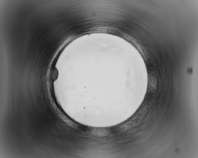 X0000103331091200810171418