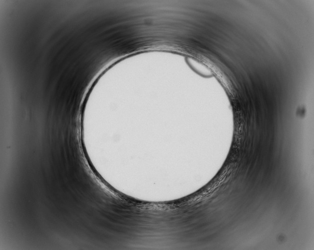 X0000103331092200810171418