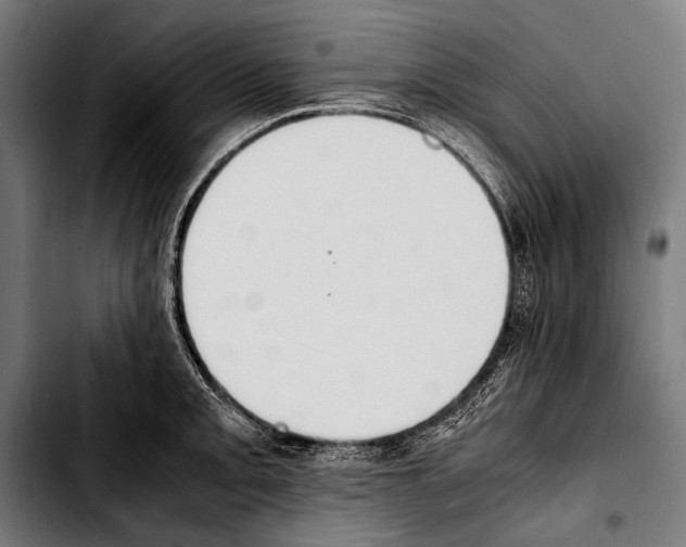 X0000103331093200810171418