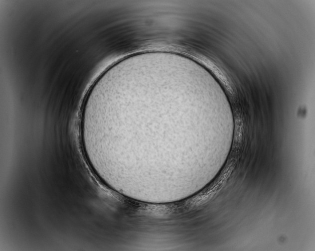 X0000103331094200810171418