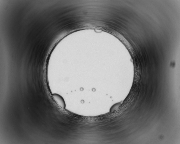 X0000103331096200810171418