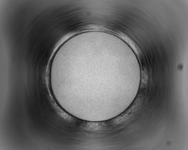 X0000103331098200810171418