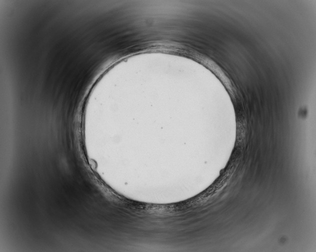 X0000103331099200810171418