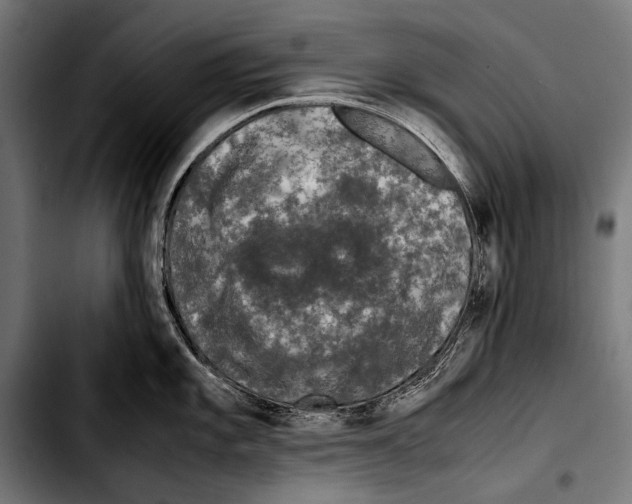 X0000103331101200810171418