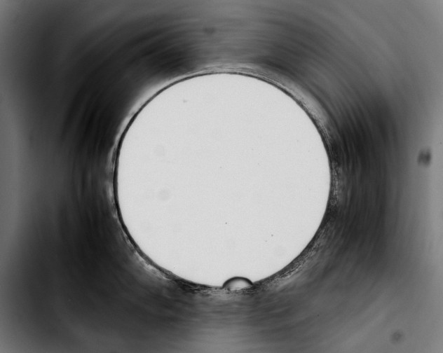 X0000103331102200810171418