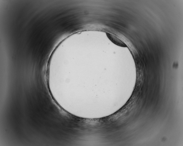 X0000103331103200810171418