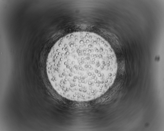 X0000103331105200810171418