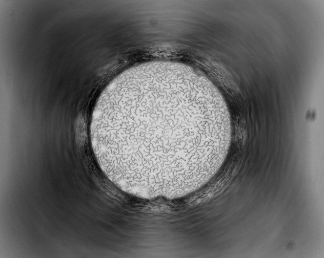 X0000103331106200810171418