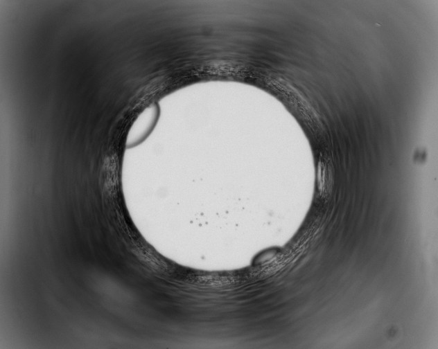 X0000103331107200810171418