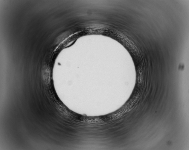 X0000103331108200810171418