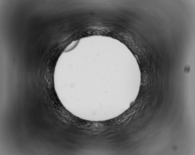 X0000103331109200810171418