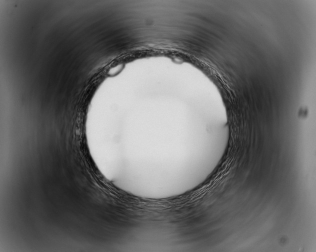 X0000103331110200810171418