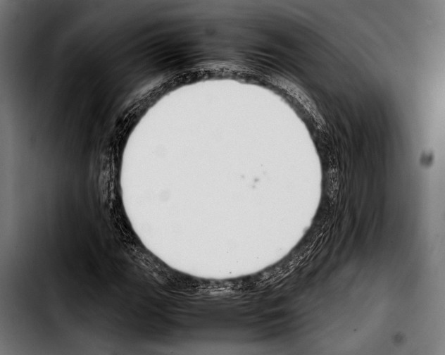 X0000103331111200810171418