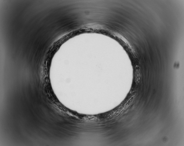 X0000103331112200810171418