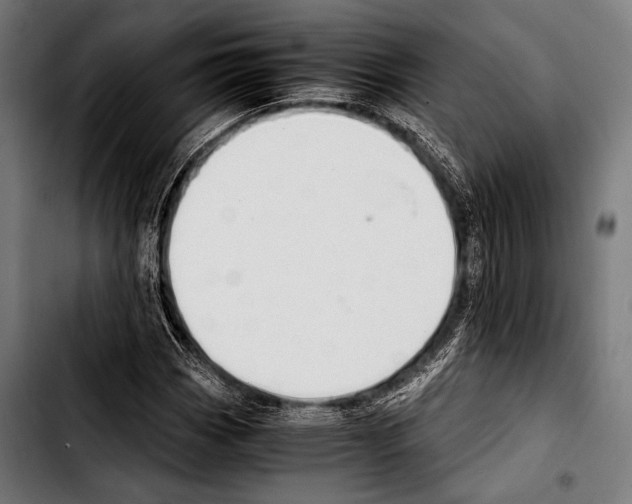 X0000103331113200810171418