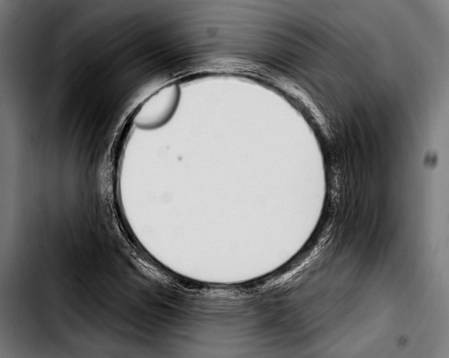 X0000103331114200810171418