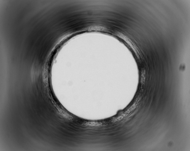 X0000103331115200810171418