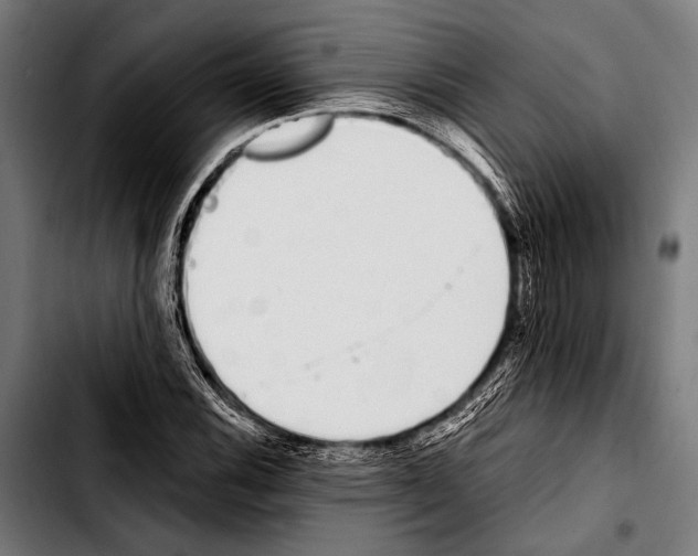 X0000103331116200810171418