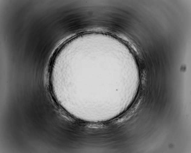 X0000103331117200810171418