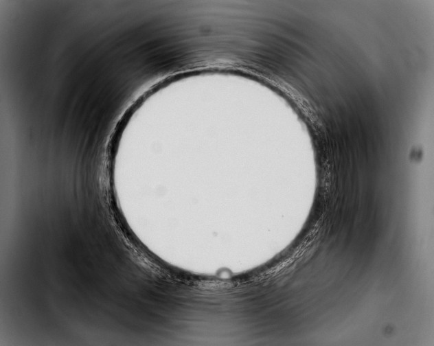 X0000103331118200810171418