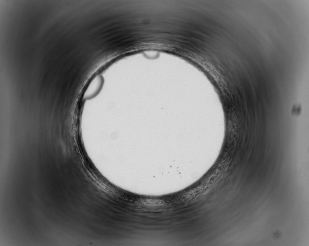 X0000103331119200810171418