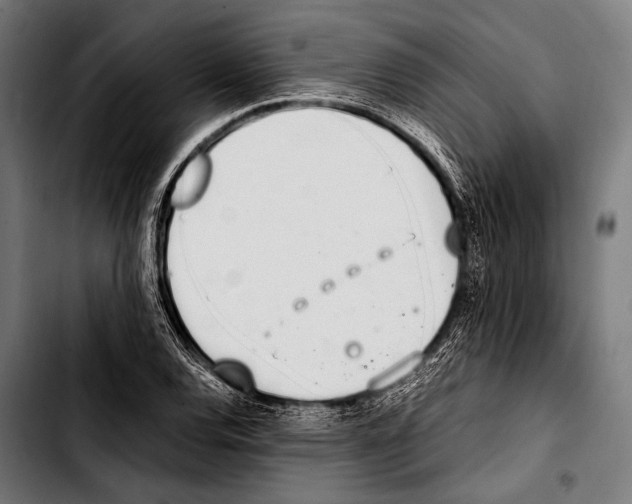 X0000103331120200810171418