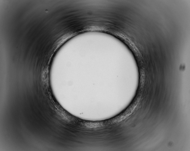 X0000103331121200810171418