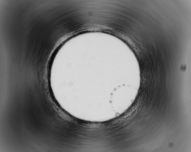 X0000103331122200810171418