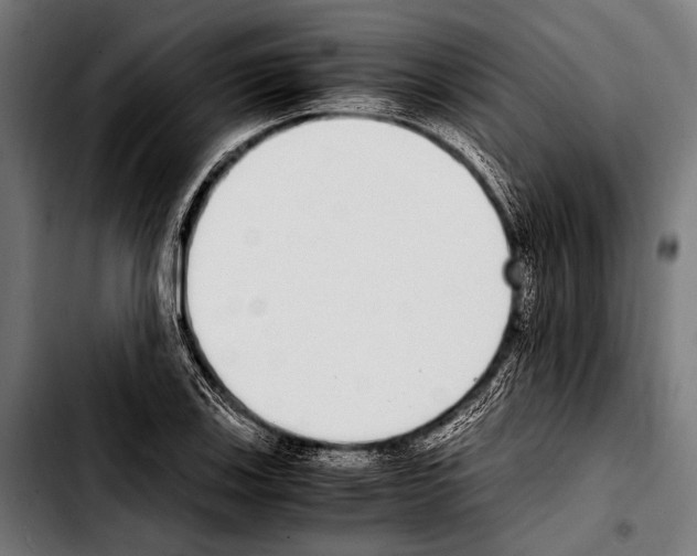 X0000103331123200810171418