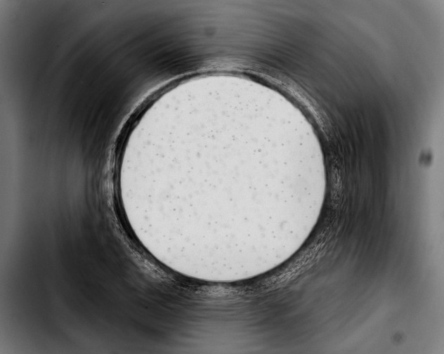 X0000103331124200810171418