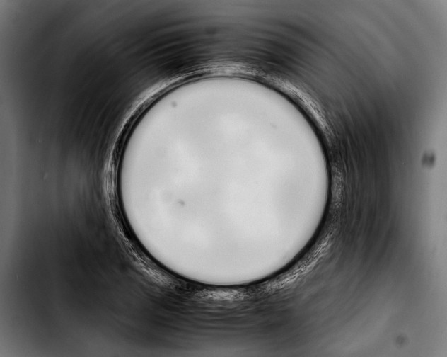 X0000103331125200810171418