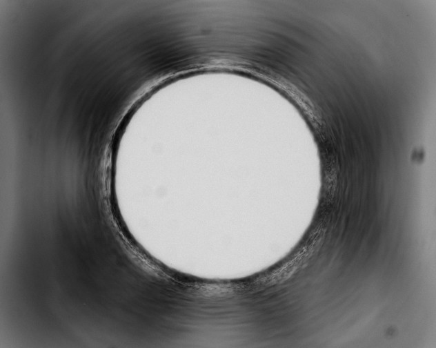 X0000103331126200810171418