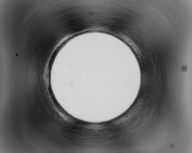 X0000103331127200810171418