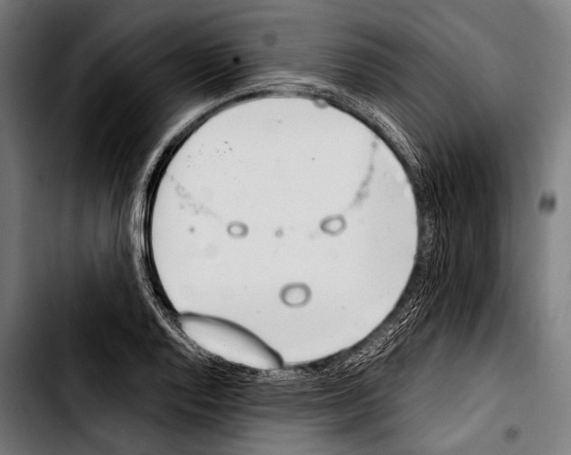 X0000103331128200810171418