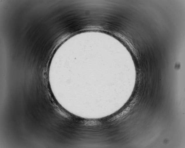 X0000103331129200810171418