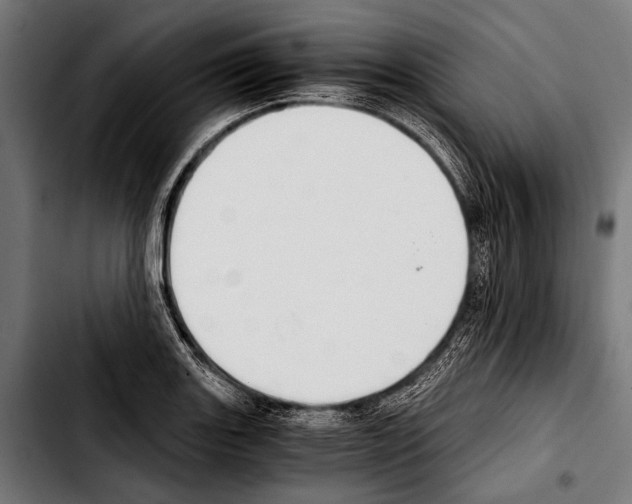 X0000103331131200810171418