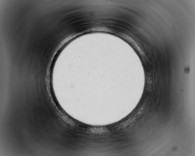 X0000103331133200810171418