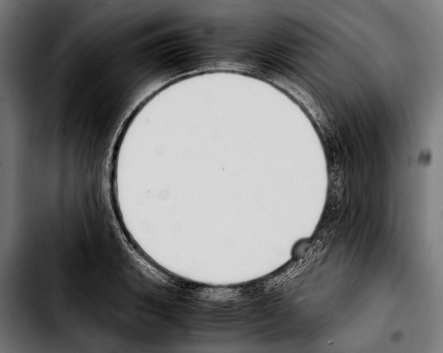 X0000103331135200810171418