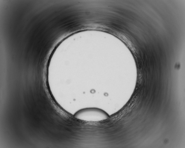 X0000103331136200810171418